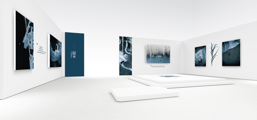 exposition virtuelle de photographies d'art nature stephane ruel ephemere de roseaux et de glace exposition virtuelle de photographies d'art nature stephane ruel ephemere de roseaux et de glace