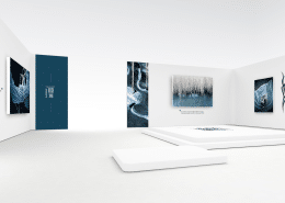exposition virtuelle de photographies d'art nature stephane ruel ephemere de roseaux et de glace