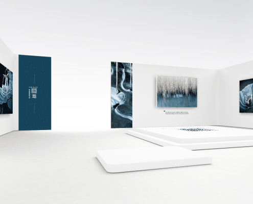 exposition virtuelle de photographies d'art nature stephane ruel ephemere de roseaux et de glace