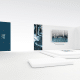 exposition virtuelle de photographies d'art nature stephane ruel ephemere de roseaux et de glace