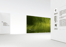 exposition virtuelle de photographies d'art nature the leaf and the river stephane ruel
