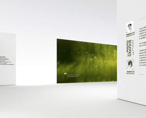 exposition virtuelle de photographies d'art nature the leaf and the river stephane ruel