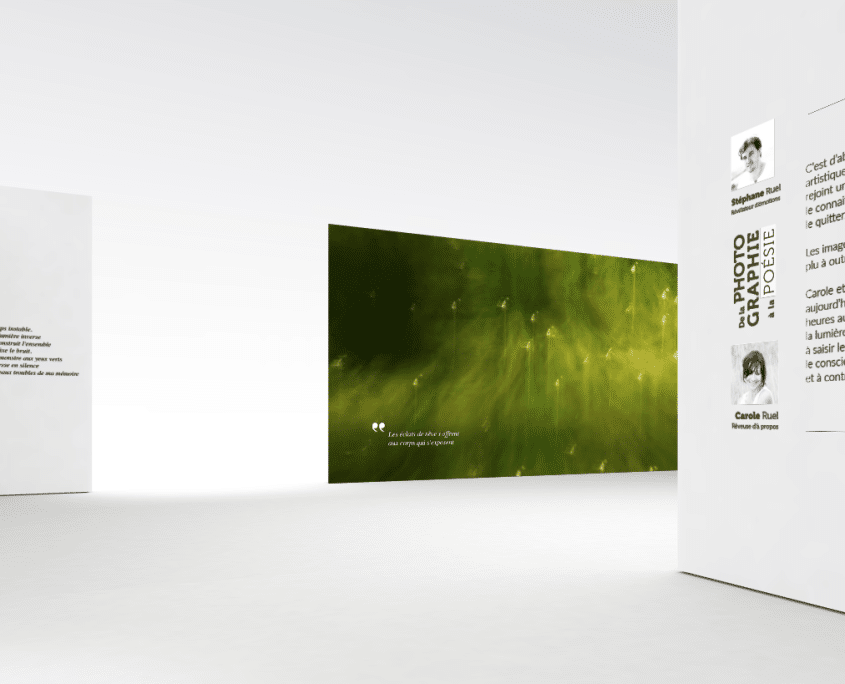 exposition virtuelle de photographies d'art nature the leaf and the river stephane ruel exposition virtuelle de photographies d'art nature the leaf and the river stephane ruel